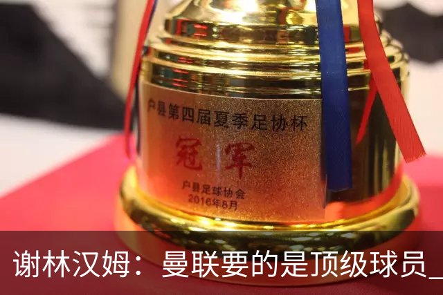 谢林汉姆：曼联要的是顶级球员 M费不够好没必要为错过他沮丧